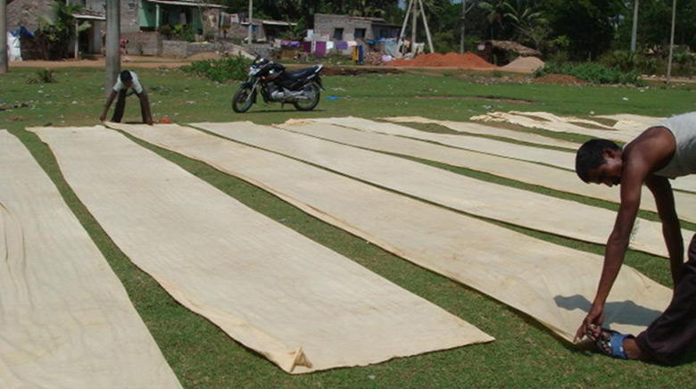 Kalamkari fabric drying outside